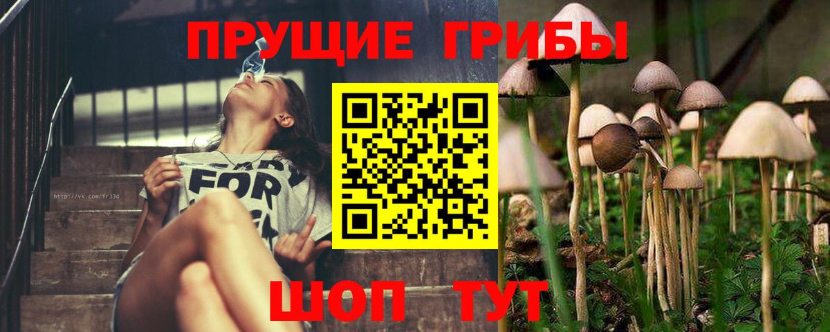 Псилоцибиновые грибы ЛСД Ивантеевка